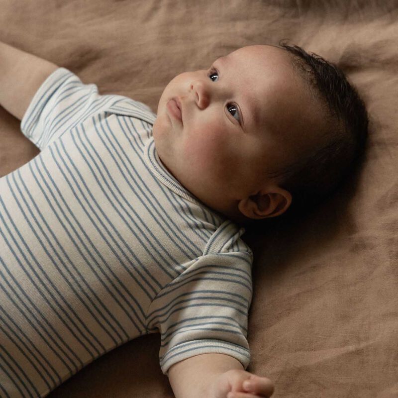 Nature Baby Short Sleeve Bodysuit image number 2